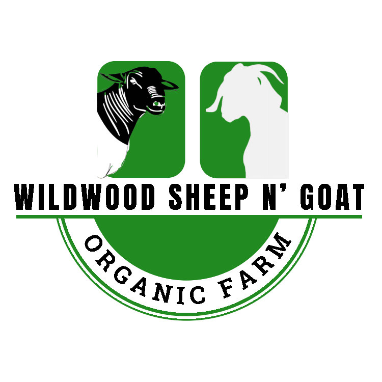 Wildwood sheep and Organic goat farm